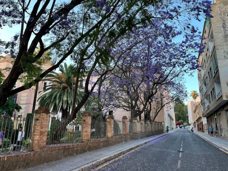 Apartamento Amar-Cura Málaga Eksteriør bilde